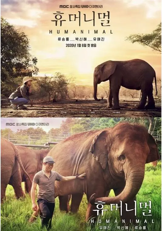 《人类-动物》：颠覆伦理的动物世界，探索人性边界
