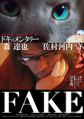 揭露假新闻阴谋的惊悚悬疑之作：FAKE