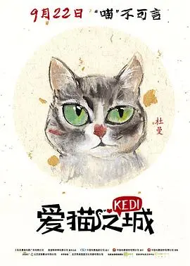 爱猫之城国语：伊斯坦布尔的猫咪，城市与猫的温馨故事