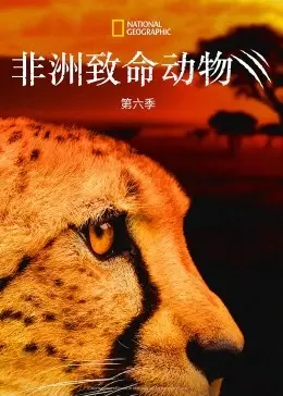 《非洲致命动物第六季》：探索狂野非洲的生存法则