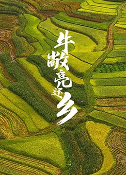 《牛敞亮还乡》：一曲乡村振兴的田园牧歌还是残酷现实的辛辣讽刺？