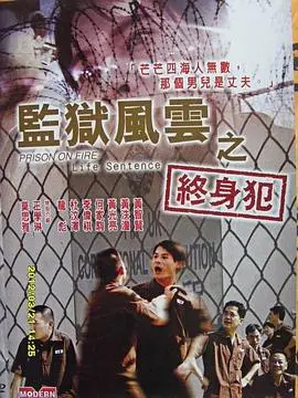 《监狱风云之终身犯》：铁窗下的救赎与挣扎，另类港片深度解读